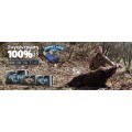 GORILLA Buckshot GX 9βολα 2 3/4