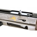 BENELLI SL80 PASION