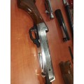 BENELLI RAFFAELLO SPECIAL LUSO BENELLI RAFFAELLO SPECIAL LUSO